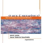 خرید و دانلود نسخه کامل کتاب O que é metafísica