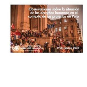 خرید و دانلود نسخه کامل کتاب Observaciones sobre la situación de los derechos humanos en el contexto de las protestas en Perú
