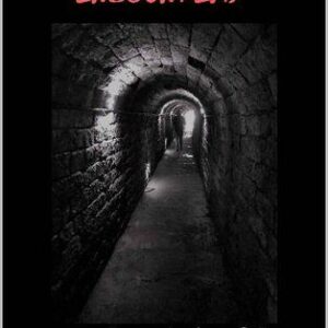 خرید و دانلود نسخه کامل کتاب ODD AND CHILLING ENCOUNTERS: True stories of the unknown