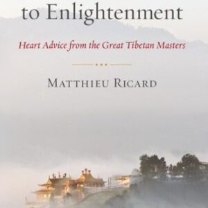 خرید و دانلود نسخه کامل کتاب On the Path to Enlightenment: Heart Advice from the Great Tibetan Masters