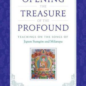 خرید و دانلود نسخه کامل کتاب Opening the Treasure of the Profound: Teachings on the Songs of Jigten Sumgon and Milarepa