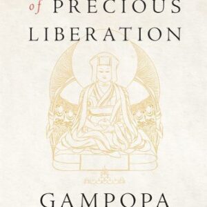 خرید و دانلود نسخه کامل کتاب Ornament of Precious Liberation