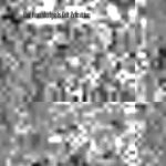 خرید و دانلود نسخه کامل کتاب Our Knowledge Is Not Primitive: Decolonizing Botanical Anishinaabe Teachings