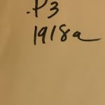 خرید و دانلود نسخه کامل کتاب Pan-Germanism