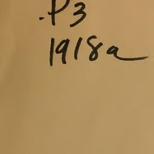 خرید و دانلود نسخه کامل کتاب Pan-Germanism