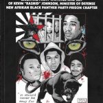 خرید و دانلود نسخه کامل کتاب Panther Vision: Essential Party Writings and Art of Kevin “Rashid” Johnson, Minister of Defense