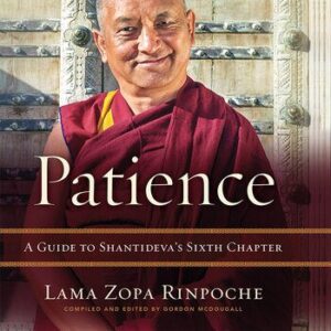 خرید و دانلود نسخه کامل کتاب Patience: A Guide to Shantideva’s Sixth Chapter