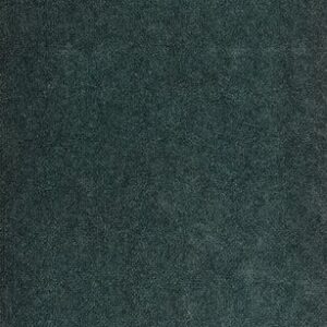 خرید و دانلود نسخه کامل کتاب Perception: a philosophical symposium