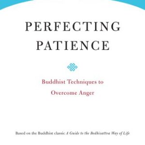 خرید و دانلود نسخه کامل کتاب Perfecting Patience: Buddhist Techniques to Overcome Anger (Core Teachings of Dalai Lama Book 1)