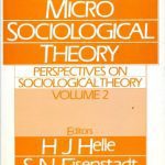 خرید و دانلود نسخه کامل کتاب Perspectives on Sociological Theory, Vol. 2: Micro-Sociological Theory