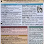 خرید و دانلود نسخه کامل کتاب Philosophers