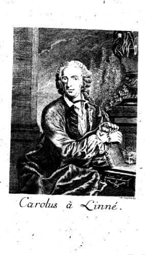 خرید و دانلود نسخه کامل کتاب Philosophia Botanica in qua explicantur Fundamenta Botanica cum Definitionibus partium, Exemplis terminorum, Observationibus rariorum. Adiectis Figuris aeneis. Editio Secunda. Curante Johanne Gottlieb Gleditsch. Berlin C.F. Rimburgi. 1780_68fd942933c8a.jpeg خرید و دانلود نسخه کامل کتاب Philosophia Botanica in qua explicantur Fundamenta Botanica cum Definitionibus partium, Exemplis terminorum, Observationibus rariorum. Adiectis Figuris aeneis. Editio Secunda. Curante Johanne Gottlieb Gleditsch. Berlin C.F. Rimburgi. 1780