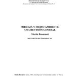 خرید و دانلود نسخه کامل کتاب Pobreza y medio ambiente: una visión general