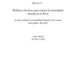 خرید و دانلود نسخه کامل کتاب Políticas efectivas para reducir la mortalidad infantil en el Perú: ¿Cómo reducir la mortalidad infantil en las zonas más pobres del país?