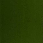 خرید و دانلود نسخه کامل کتاب Practical Buddhism