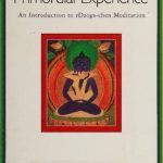 خرید و دانلود نسخه کامل کتاب Primordial Experience: An Introduction to rDzogs-chen Meditation
