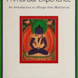 خرید و دانلود نسخه کامل کتاب Primordial Experience: An Introduction to rDzogs-chen Meditation