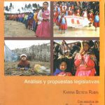 خرید و دانلود نسخه کامل کتاب Programas sociales en la encrucijada. Análisis y propuestas legislativas