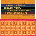 خرید و دانلود نسخه کامل کتاب Pueblos indígenas, consulta previa, gobernanza territorial y recursos naturales (Perú)