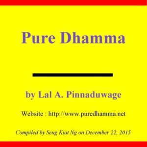 خرید و دانلود نسخه کامل کتاب Pure Dhamma: A Quest to Recover Buddha’s True Teachings