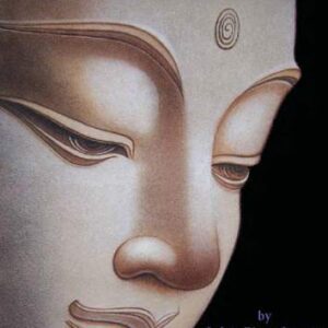 خرید و دانلود نسخه کامل کتاب Pure Dhamma – A Quest to Recover Buddha’s True Teachings
