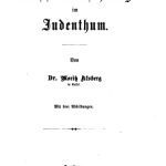 خرید و دانلود نسخه کامل کتاب Rassenmischung im Judenthum [Judentum]