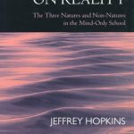 خرید و دانلود نسخه کامل کتاب Refections on Reality: The Three Natures and Non-Natures in the Mind-Only School