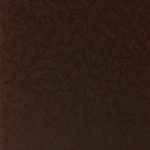 خرید و دانلود نسخه کامل کتاب Reforcemos o poder popular nos nossos hospitais