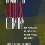 خرید و دانلود نسخه کامل کتاب Remapping Black Germany: New Perspectives on Afro-German History, Politics, and Culture