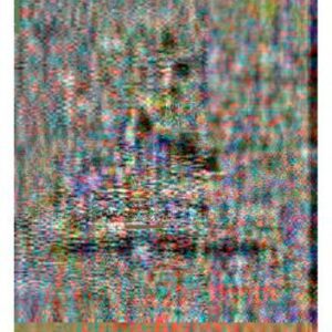 خرید و دانلود نسخه کامل کتاب Repeating the Words of the Buddha