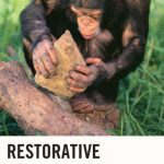 خرید و دانلود نسخه کامل کتاب Restorative Free Will: Back to the Biological Base