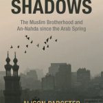 خرید و دانلود نسخه کامل کتاب Return to the Shadows: The Rise and Fall of the Muslim Brotherhood