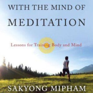 خرید و دانلود نسخه کامل کتاب Running With the Mind of Meditation