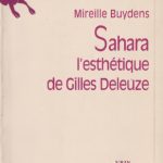 خرید و دانلود نسخه کامل کتاب Sahara: L’esthetique De Gilles Deleuze