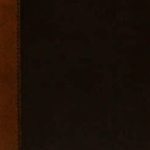 خرید و دانلود نسخه کامل کتاب Sancti Eusebii Hieronymi Stridonensis presbyteri opera omnia, post monachorum ordinis S. Benedicti e congregatione S. Mauri, sed potissimum D. Joannis Martianaei … studio et labore Vallarsii et Maffaeii Veronae presbyterorum