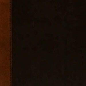 خرید و دانلود نسخه کامل کتاب Sancti Eusebii Hieronymi Stridonensis presbyteri opera omnia, post monachorum ordinis S. Benedicti e congregatione S. Mauri, sed potissimum D. Joannis Martianaei … studio et labore Vallarsii et Maffaeii Veronae presbyterorum