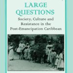 خرید و دانلود نسخه کامل کتاب Small Islands, Large Questions: Society, Culture and Resistance in the Post-Emancipation Caribbean