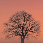 خرید و دانلود نسخه کامل کتاب SOCIAL AND COMMUNITY INFORMATICS: HUMANS ON THE NET