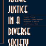 خرید و دانلود نسخه کامل کتاب Social Justice In A Diverse Society