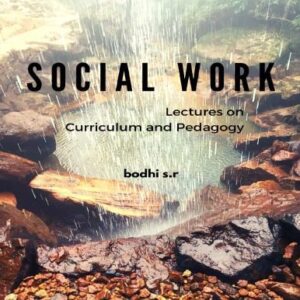 خرید و دانلود نسخه کامل کتاب Social Work : Lectures on Curriculum and Pedagogy