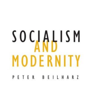 خرید و دانلود نسخه کامل کتاب Socialism and Modernity (Contradictions)