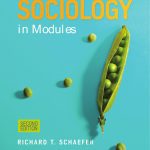 خرید و دانلود نسخه کامل کتاب Sociology in Modules