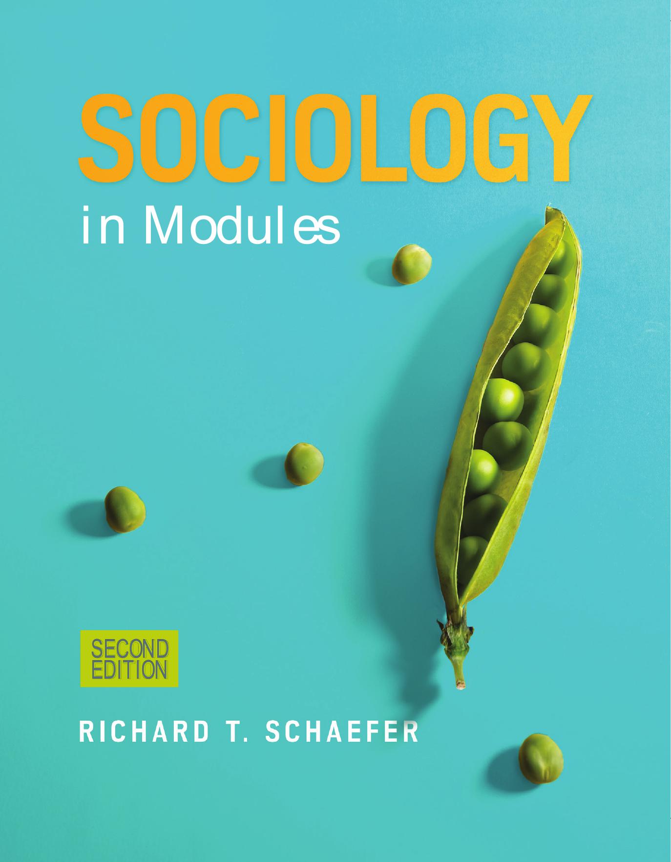خرید و دانلود نسخه کامل کتاب Sociology in Modules_68f9a474686a7.jpeg خرید و دانلود نسخه کامل کتاب Sociology in Modules