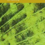 خرید و دانلود نسخه کامل کتاب South Korean Engagement Policies And North Korea: Identities, Norms And The Sunshine Policy (Politics in Asia Series)