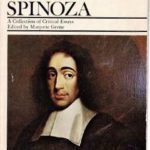 خرید و دانلود نسخه کامل کتاب Spinoza, A Collection of Critical Essays