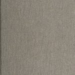 خرید و دانلود نسخه کامل کتاب Still Rebels, still Yankees and other essays