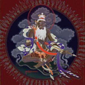 خرید و دانلود نسخه کامل کتاب Straight from the Heart: Buddhist Pith Instructions