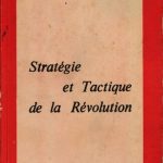 خرید و دانلود نسخه کامل کتاب Stratégie et tactique de la révolution