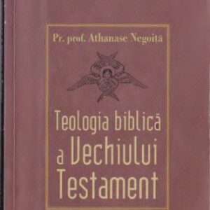 خرید و دانلود نسخه کامل کتاب Teologia biblică a Vechiului Testament