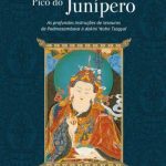 خرید و دانلود نسخه کامل کتاب Tesouros do Pico do Junipero